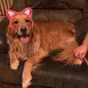 Meet your Posher, Sam